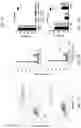 Fig. 15 - METHODS OF TREATING VESTIBULAR SCHWANNOMA