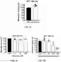 Fig. 20 - METHODS OF TREATING VESTIBULAR SCHWANNOMA