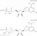 Fig. 19 - CD73 inhibitors