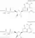 Fig. 40 - CD73 inhibitors