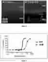 Fig. 03 - Methods of Treating Ocular Disorders