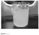 Fig. 02 - VAGINAL BIOADHESIVE BORIC ACID FORMULATION AND ITS PREPARATION METHOD