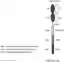 Fig. 01 - Antigen binding receptors specific for mutated Fc domains