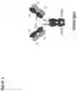 Fig. 04 - Antigen binding receptors specific for mutated Fc domains