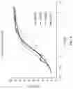 Fig. 05 - Quadricistronic system comprising a homing receptor and chimeric antigen receptor for stable genetic modification of cellular immunotherapies