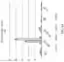 Fig. 07 - Quadricistronic system comprising a homing receptor and chimeric antigen receptor for stable genetic modification of cellular immunotherapies