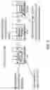Fig. 10 - Quadricistronic system comprising a homing receptor and chimeric antigen receptor for stable genetic modification of cellular immunotherapies