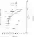 Fig. 03 - Lipid combinations