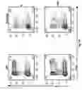 Fig. 02 - Compositions and methods for the induction of CD8+ T-cells