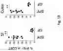Fig. 03 - Compositions and methods for the induction of CD8+ T-cells
