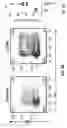 Fig. 11 - Compositions and methods for the induction of CD8+ T-cells