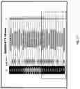 Fig. 25 - Compositions and methods for the induction of CD8+ T-cells