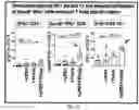 Fig. 28 - Compositions and methods for the induction of CD8+ T-cells