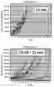 Fig. 33 - Compositions and methods for the induction of CD8+ T-cells