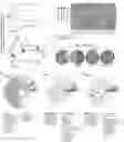 Fig. 01 - Compositions of oligofructose and commensal microorganisms and methods thereof