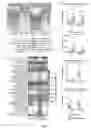Fig. 03 - Compositions of oligofructose and commensal microorganisms and methods thereof