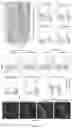 Fig. 05 - Compositions of oligofructose and commensal microorganisms and methods thereof