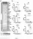 Fig. 09 - Compositions of oligofructose and commensal microorganisms and methods thereof