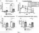 Fig. 10 - Compositions of oligofructose and commensal microorganisms and methods thereof