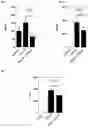 Fig. 05 - Petasites extract and composition and method for treating viral infections