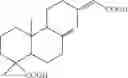 Fig. 02 - Use of copaifera oleoresin in pathologies of the prostate