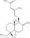 Fig. 03 - Use of copaifera oleoresin in pathologies of the prostate