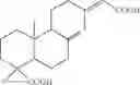 Fig. 05 - Use of copaifera oleoresin in pathologies of the prostate