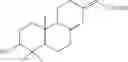 Fig. 06 - Use of copaifera oleoresin in pathologies of the prostate