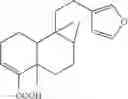 Fig. 07 - Use of copaifera oleoresin in pathologies of the prostate