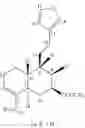 Fig. 08 - Use of copaifera oleoresin in pathologies of the prostate