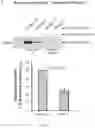 Fig. 09 - COMPOSITIONS AND METHODS FOR TREATING ALZHEIMER'S DISEASE
