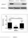 Fig. 07 - Method for detecting whether glucose metabolism is abnormal, and prevention and treatment therefor