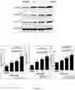 Fig. 10 - Method for detecting whether glucose metabolism is abnormal, and prevention and treatment therefor