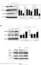 Fig. 16 - Method for detecting whether glucose metabolism is abnormal, and prevention and treatment therefor