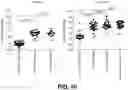 Fig. 11 - Treating seizure with recombinant alkaline phosphatase
