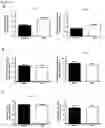 Fig. 13 - Compositions and methods for regulating pancreatic beta cell function using adipsin