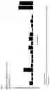 Fig. 04 - Peptides and combination of peptides for use in immunotherapy against various cancers