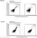 Fig. 33 - Peptides and combination of peptides for use in immunotherapy against various cancers