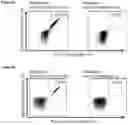 Fig. 34 - Peptides and combination of peptides for use in immunotherapy against various cancers