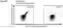 Fig. 35 - Peptides and combination of peptides for use in immunotherapy against various cancers