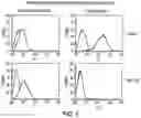 Fig. 07 - Mesothelin vaccines and model systems