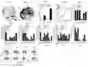Fig. 02 - Selective targeting of the CD40L/Mac-1 interaction by small peptide inhibitors and its use for the treatment of inflammation and atherogenesis