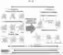 Fig. 06 - HIGH-THROUGHPUT SYNTHESIS OF BIOMOLECULE-POLYMER CONJUGATES