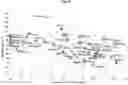 Fig. 12 - HIGH-THROUGHPUT SYNTHESIS OF BIOMOLECULE-POLYMER CONJUGATES