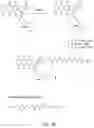 Fig. 04 - Binding protein drug conjugates comprising anthracycline derivatives