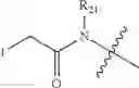 Fig. 77 - NOVEL PEPTIDIC LINKERS AND CRYPTOPHYCIN CONJUGATES, THEIR PREPARATION AND THEIR THERAPEUTIC USE
