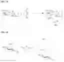 Fig. 02 - Drug formulation based on particulates comprising polysaccharide-vitamin conjugate