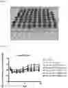 Fig. 05 - Drug formulation based on particulates comprising polysaccharide-vitamin conjugate