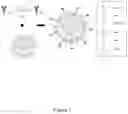 Fig. 02 - Therapeutic Targeting of Lipid Nanoparticles