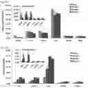 Fig. 06 - Therapeutic Targeting of Lipid Nanoparticles